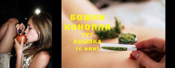 винт Горно-Алтайск